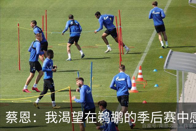 蔡恩：我渴望在鹈鹕的季后赛中感受独特的球迷能量